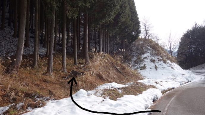 舟木山南西尾根~後山~駒の尾山周回
