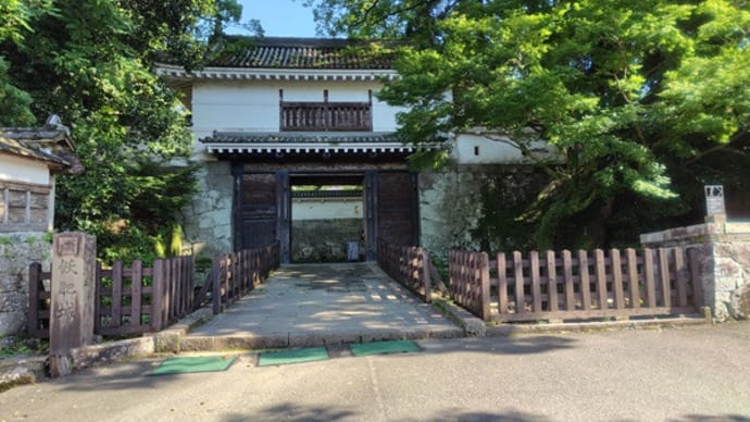 日本語がわからない