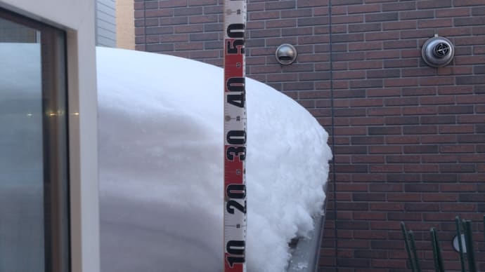 今年は暖冬で、雪がすくないのか？札幌