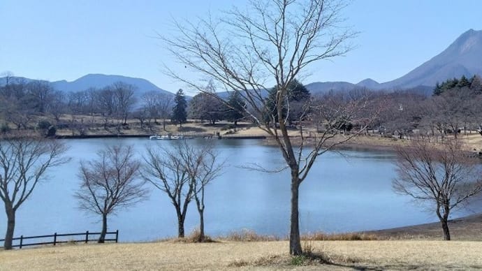 志高湖キャンプ場