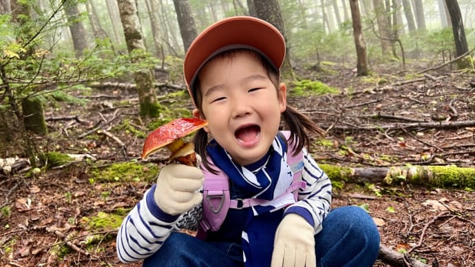 孫ときのこ狩り