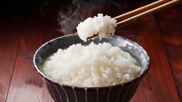 My Favorite Food Is Rice（ごはんが好き）
