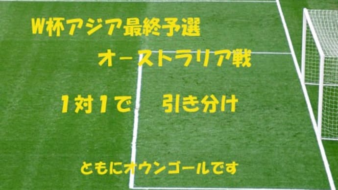 オウンゴールさんかつやく