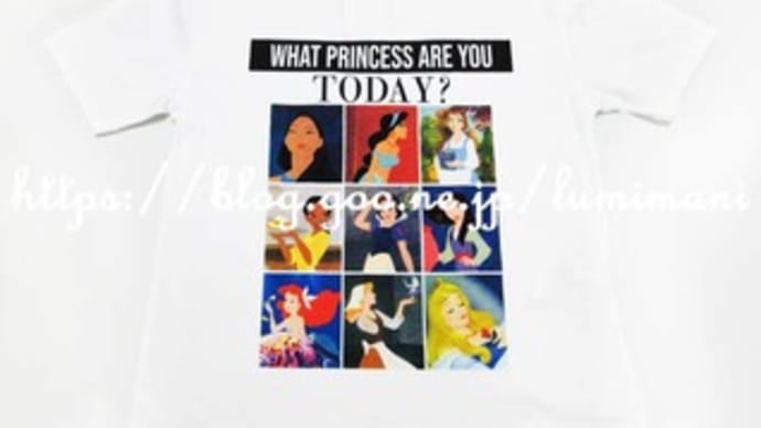 ディズニープリンセス ｔシャツ ｌｏｖｅディズニー 美女と野獣コレクション