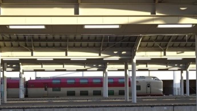 すっかりと定着
