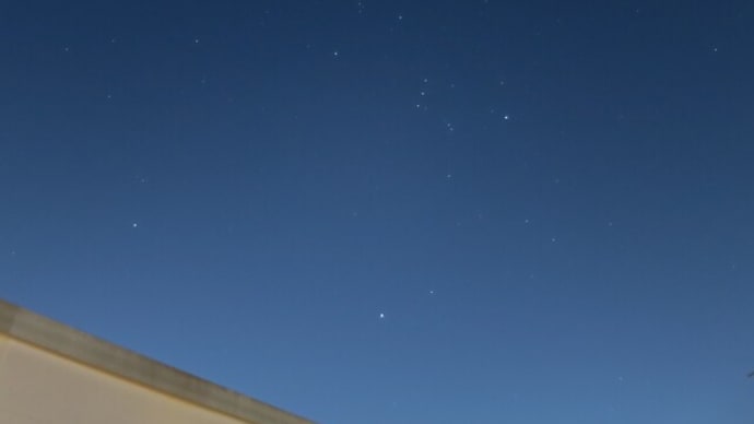 都内の星座(92)