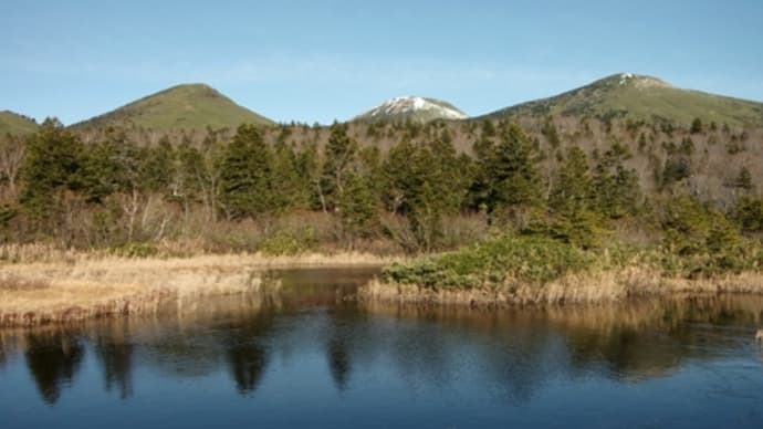 2022年11月12日 北八甲田山麓 睡蓮沼周辺のようす