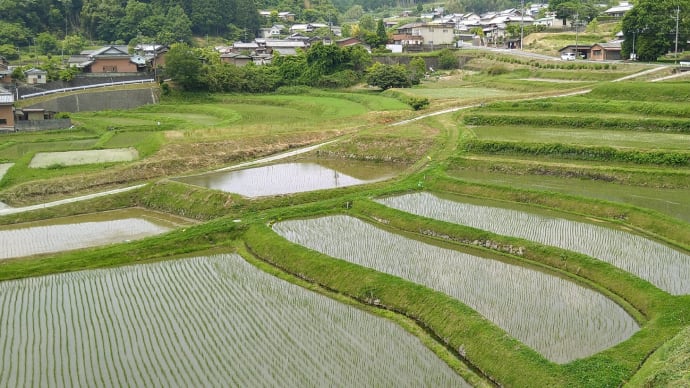 「西山の棚田(棚田100選)」、「垂園森」&「依名古神社」辺りで「忍者電車」に会う。