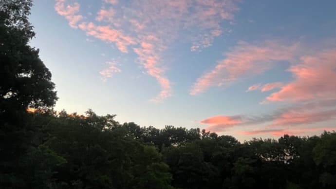 初夏