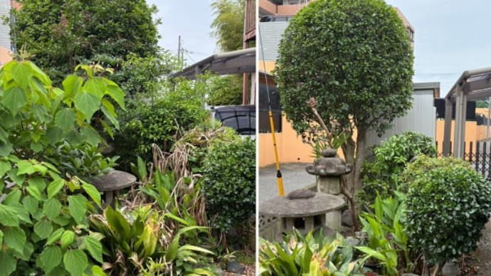 雑木が増えてしまったお庭の剪定作業
