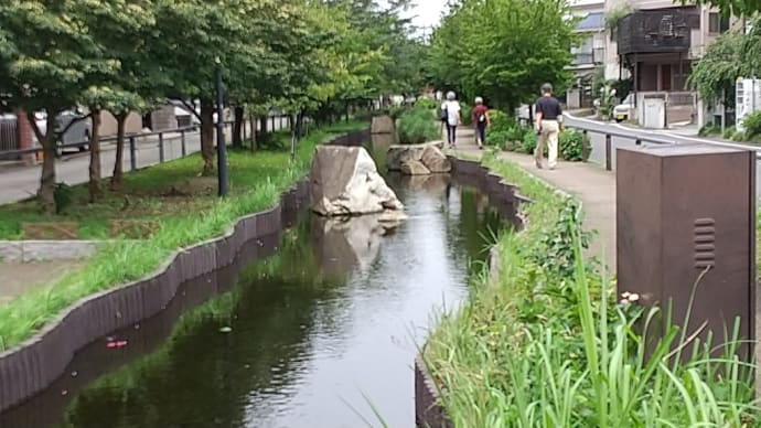 落ち着いてきた散歩道