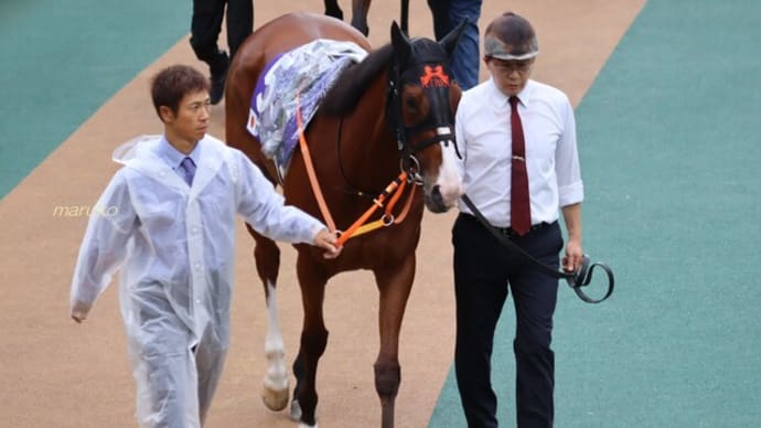 明日の競馬☆