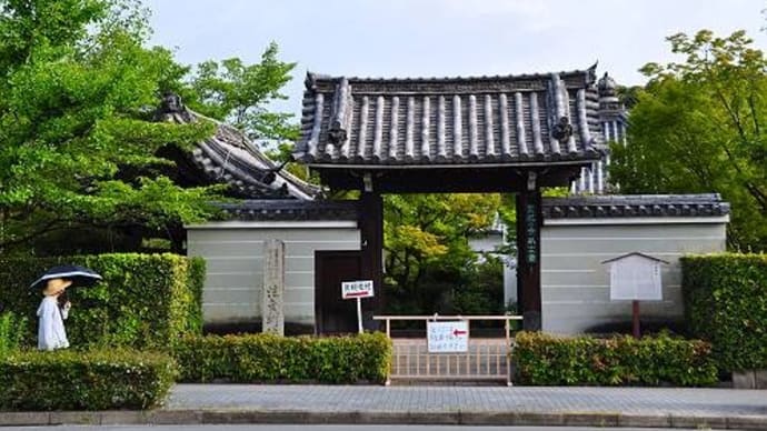 蓮~はす~ハス~法金剛院