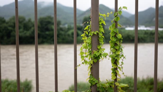 梅雨の中休み?