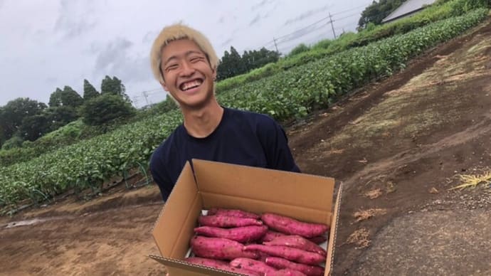 サツマイモ試食会