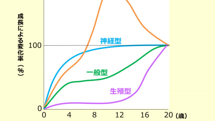 やっぱり成長曲線!