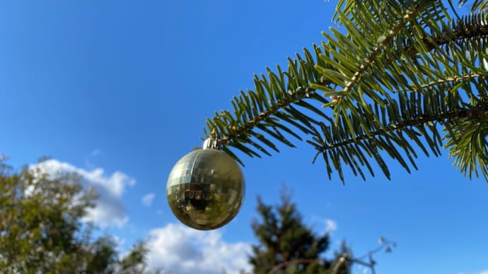 クリスマス特番