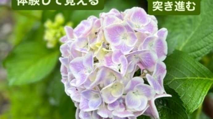 〜マヤ暦 K 107 青い手・赤い蛇・音3〜 新月の赤い蛇・音3の日は心の絆を深める日。