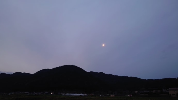 2022.3.21.ウォーキング