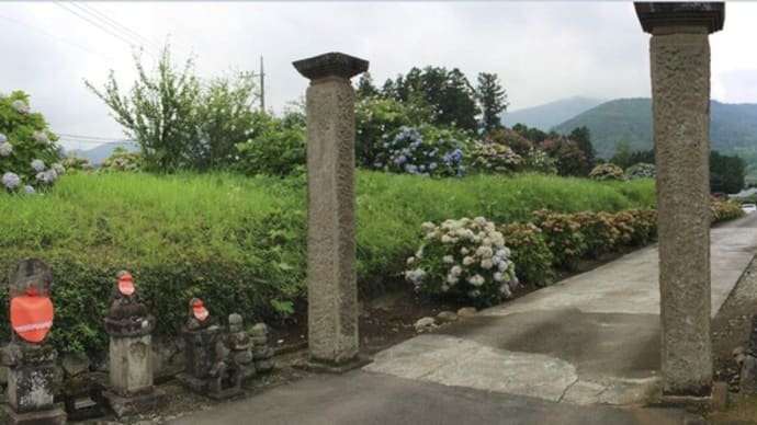 篠窪(しのくぼ)の隣町 米倉一族の墓の「ムクゲ」の花と第二東名工事風景(2021/07/14)