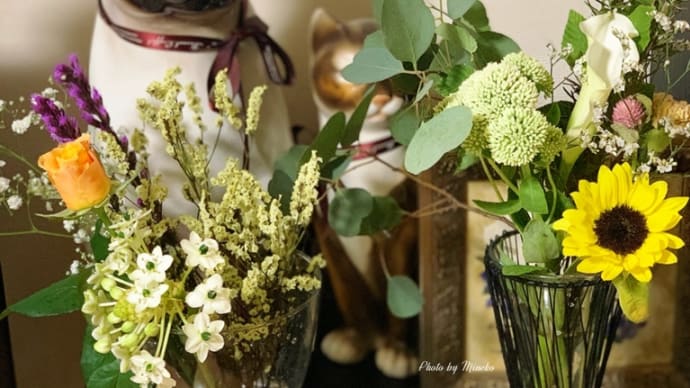 【おうち時間】猛暑でも花のある暮らしを楽しむ