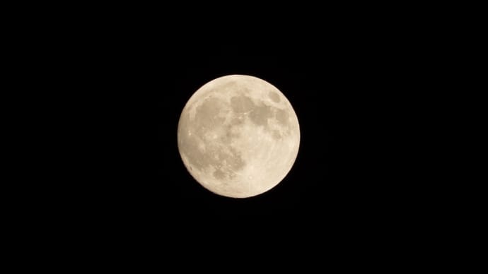十五夜って知ってる?