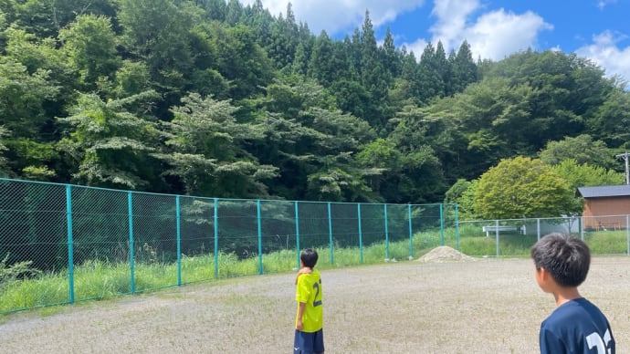 野生の猿を見つけ練習中断🐒