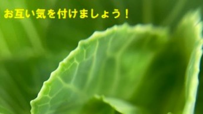 細心の注意を!