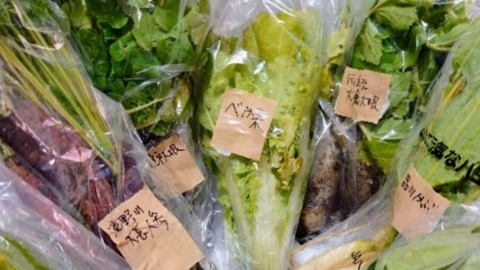 一足早いお年玉