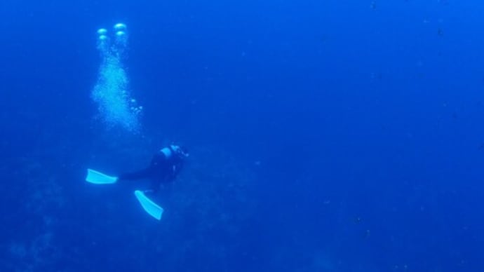 やっぱり海は青かった!