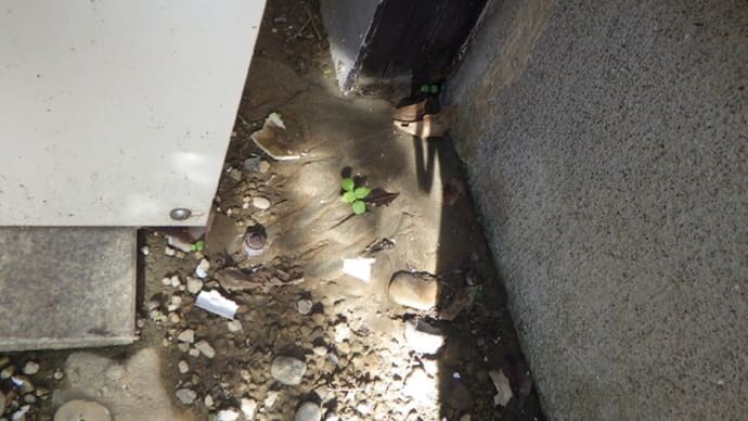 埋まっている水道管の漏水修理の記事・・・千葉市