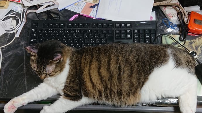 そしてそれは起こった