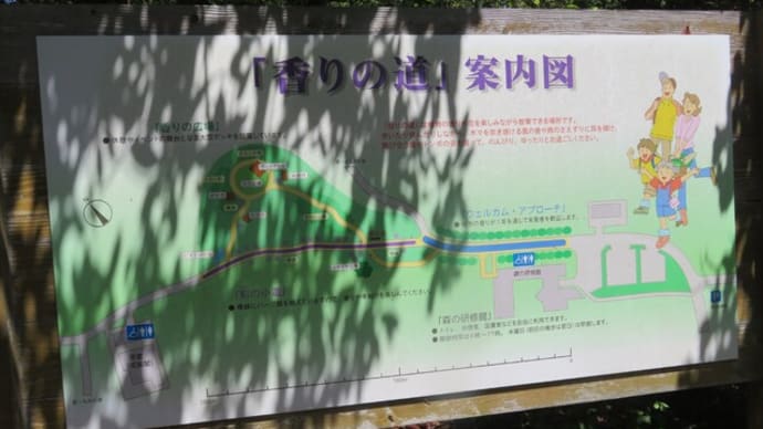 香りの道付近を散策、 兵庫県立三木山森林公園