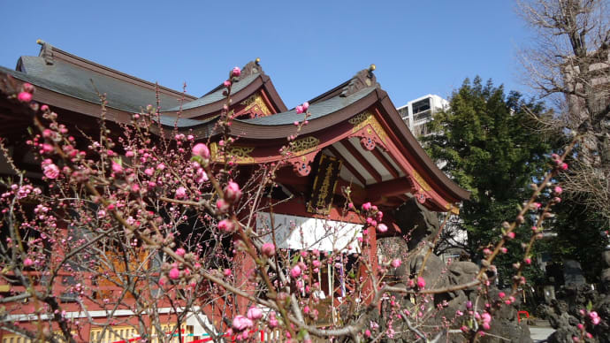 素盞雄神社(すさのお神社)、桃の花