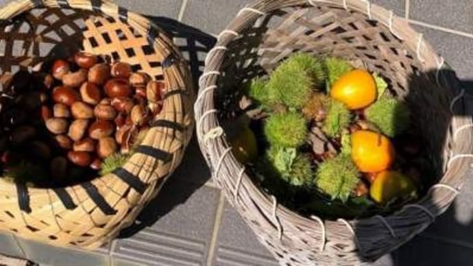 柿食へば鐘が鳴るなり・・・