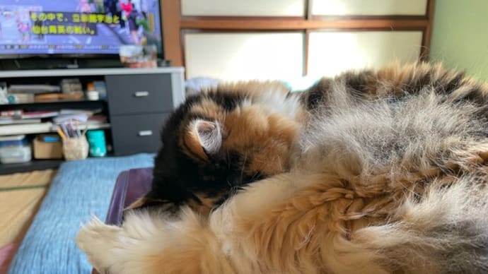 コロナが近くにやってきた