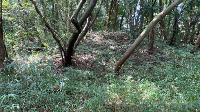 稲童古墳群17号墳