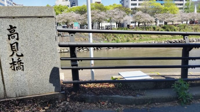 卯月九日・十日。五年ぶりの鹿児島さんぽ