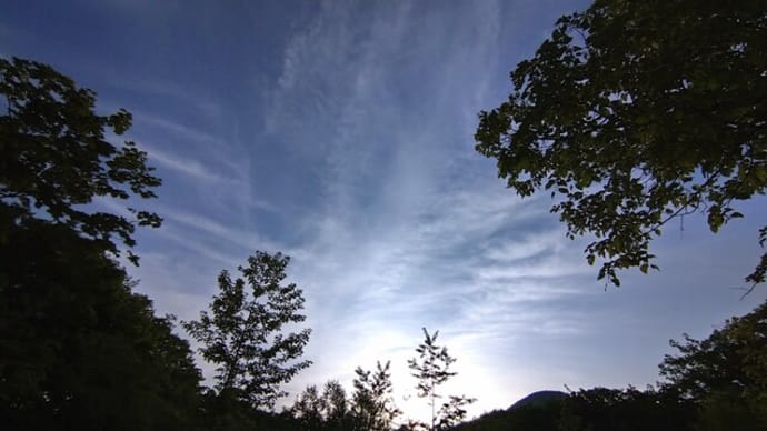 ホウノキの空