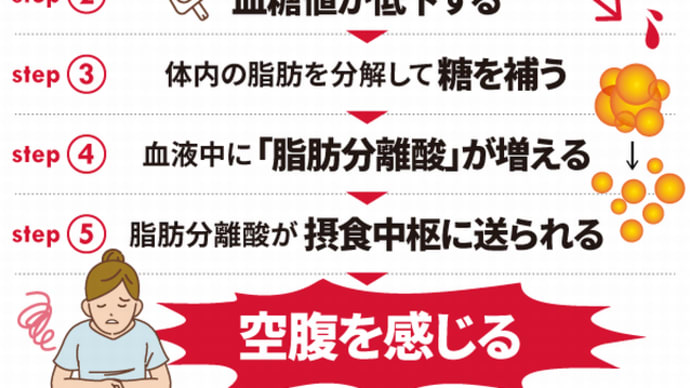 『貧しいのは不幸』『お金は大事』『投機と投資の違い』