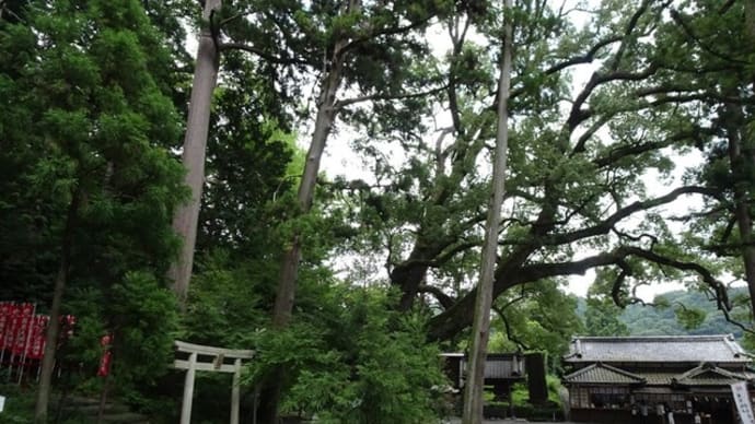 静かな事任八幡宮