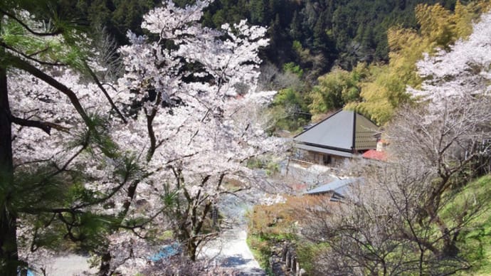 秋川渓谷・乙津散策その１