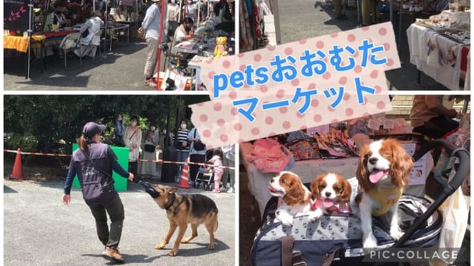 PETSおおむたマーケットでした。