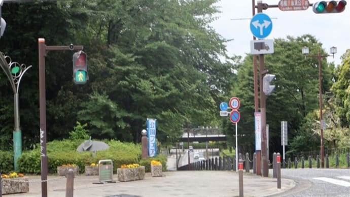 相模原麻溝公園のアジサイ