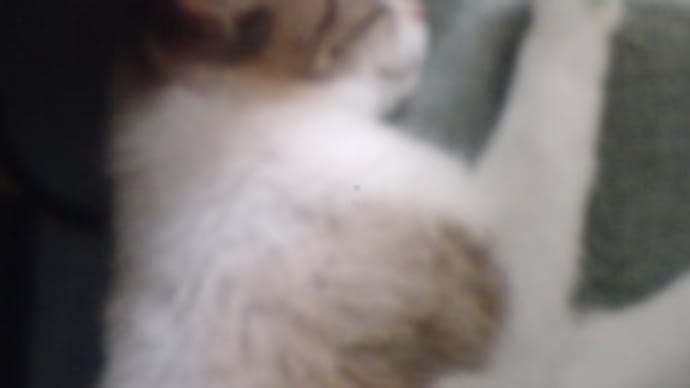 また振り出しに戻っちゃった:☆: