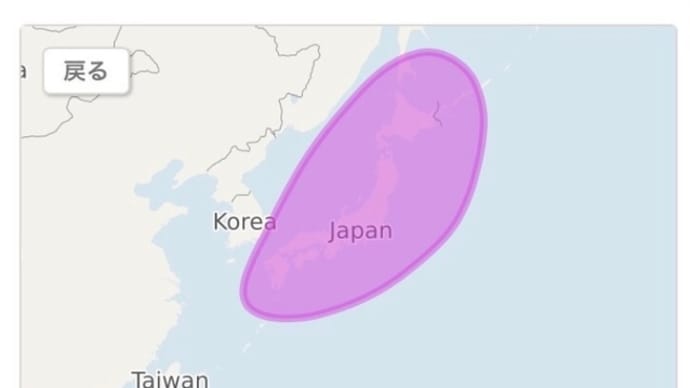 自分は100%日本人でした