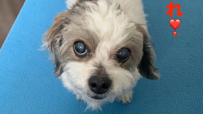 幸せの連打。