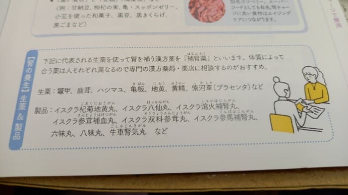 冬の肌養生にも腎が関連