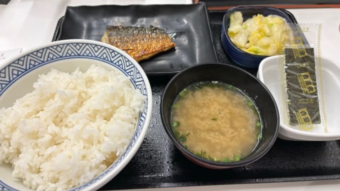 ワタシにゃあ理想に近い。