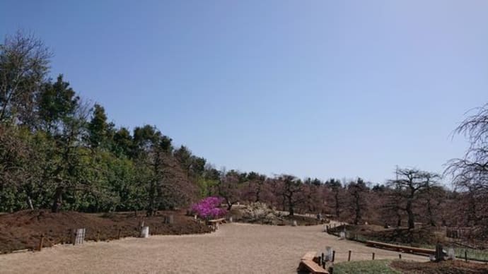 鈴鹿の森庭園→椿大神社→アクアイグニス